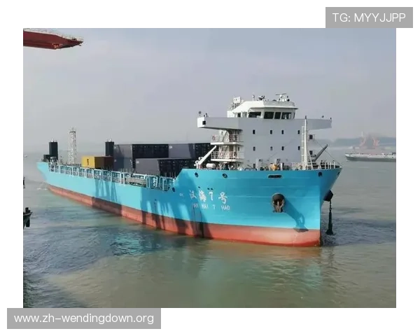 问鼎登陆：实现企业跨越式发展的关键步骤与成功案例分析